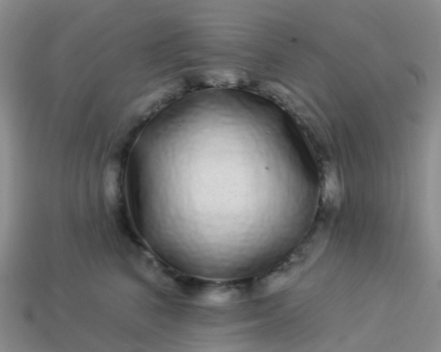 X0000113880616200910081748