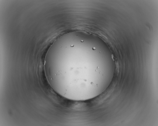 X0000113880617200910081748