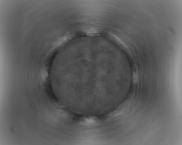 X0000113880618200910081748