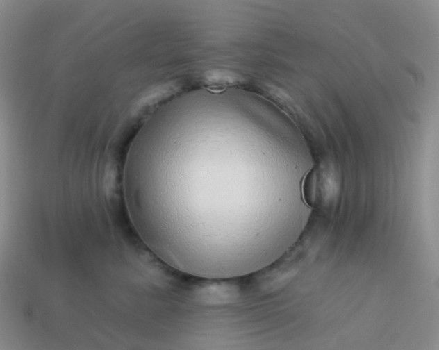 X0000113880619200910081748