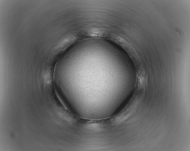 X0000113880620200910081748