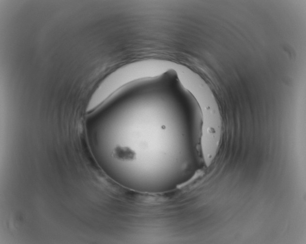 X0000113880621200910081748