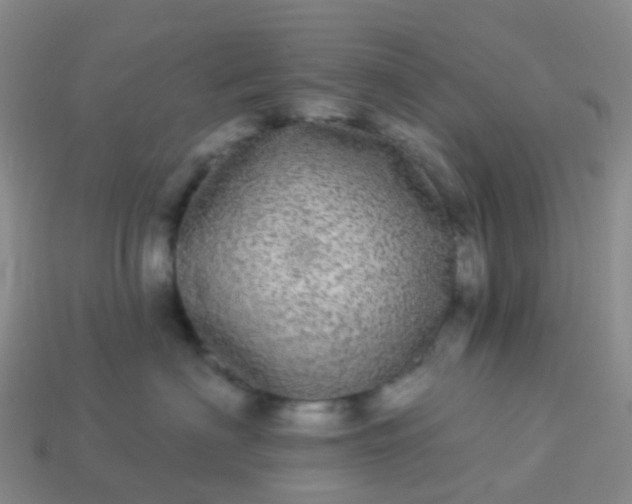 X0000113880622200910081748