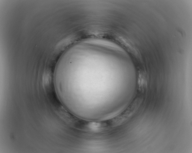 X0000113880623200910081748