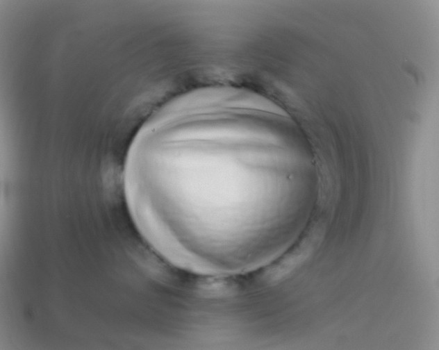 X0000113880624200910081748