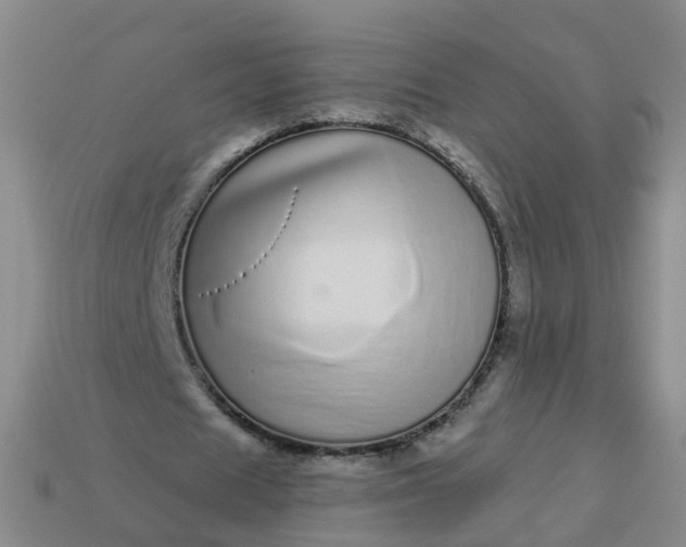 X0000113880625200910081747