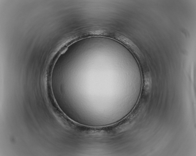 X0000113880626200910081747