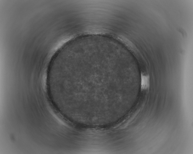 X0000113880627200910081747