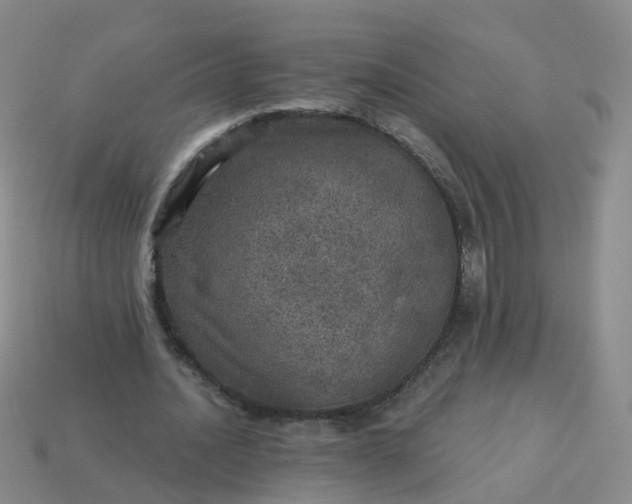 X0000113880628200910081747