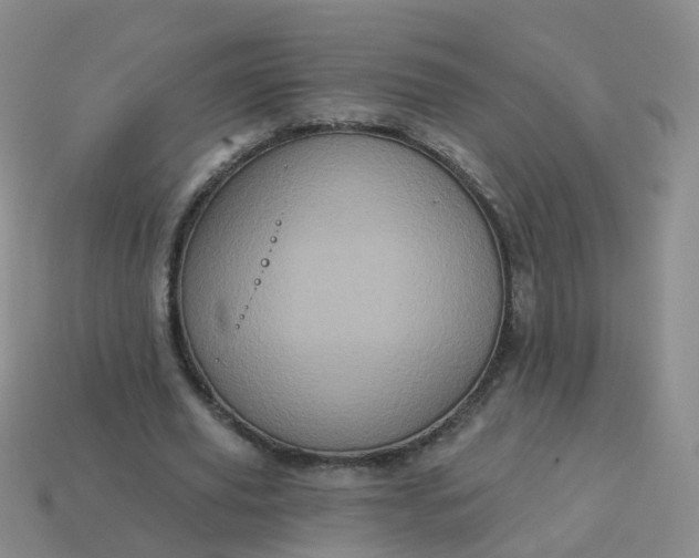 X0000113880629200910081747