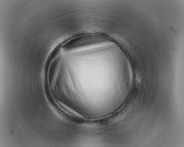 X0000113880630200910081747