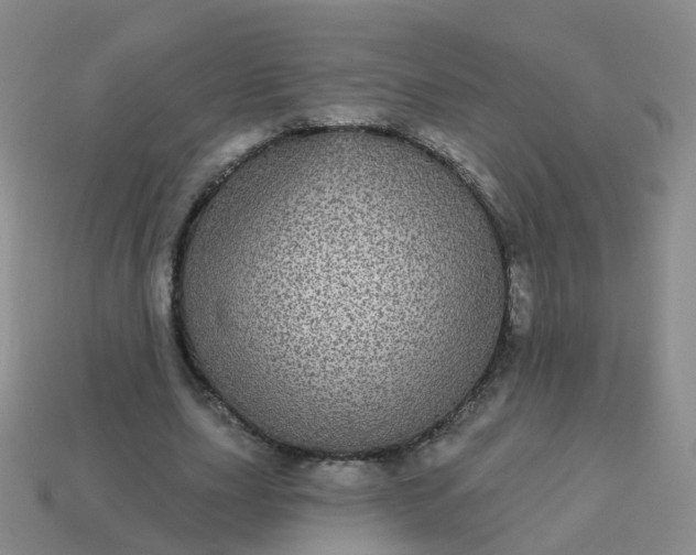 X0000113880631200910081747