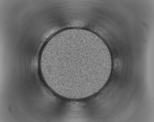 X0000113880632200910081747