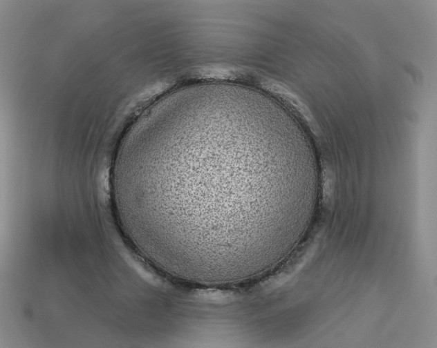 X0000113880633200910081747