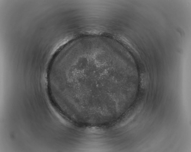 X0000113880634200910081747