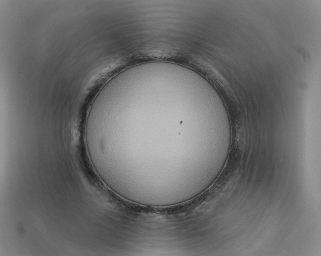 X0000113880635200910081747