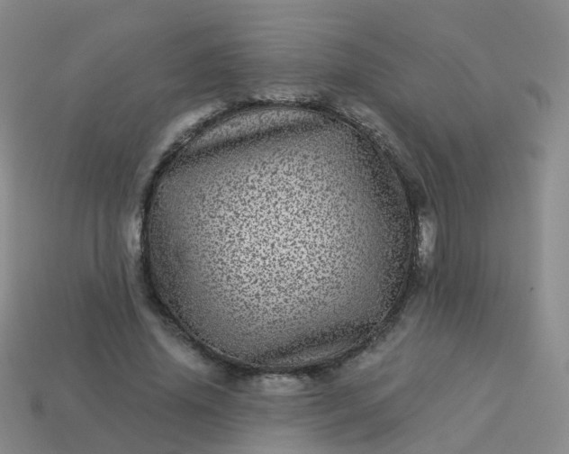 X0000113880636200910081747