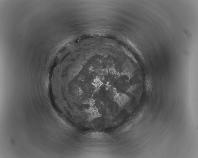 X0000113880637200910081747