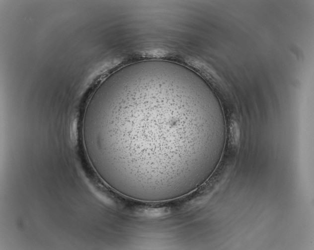 X0000113880638200910081747