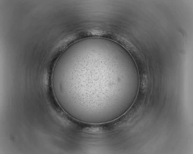 X0000113880639200910081747