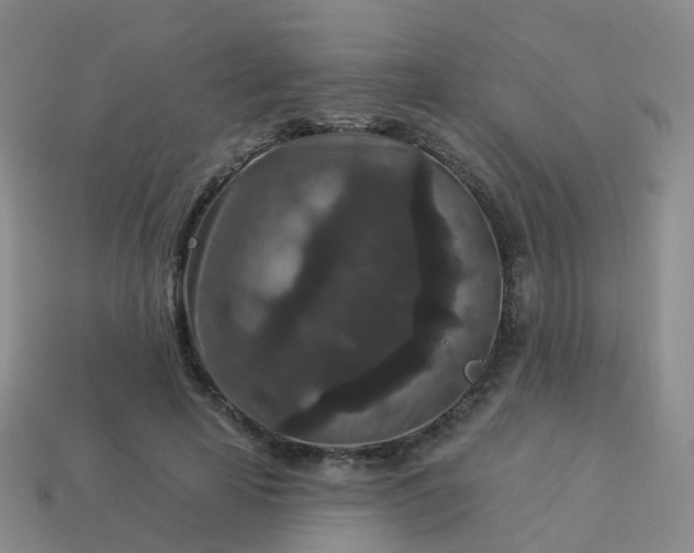 X0000113880641200910081747