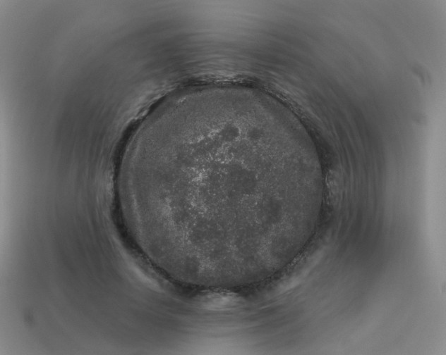 X0000113880642200910081747