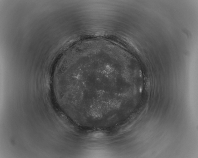 X0000113880643200910081747