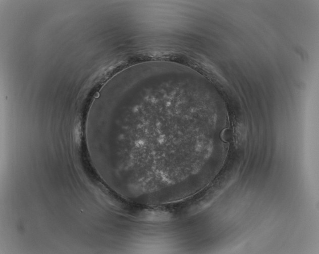 X0000113880644200910081747