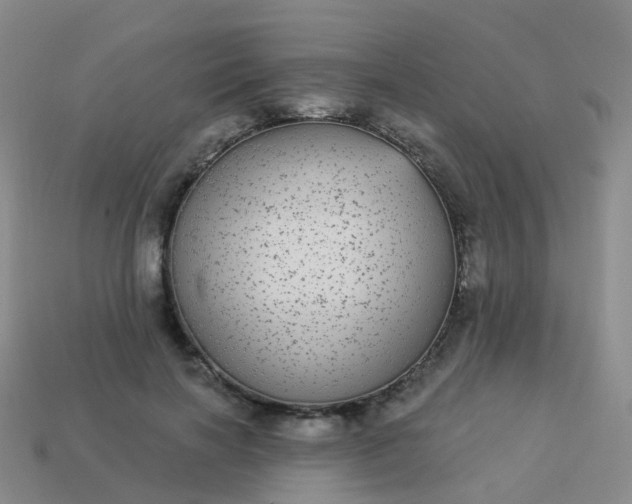 X0000113880646200910081747