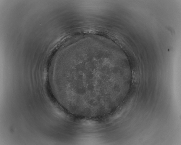 X0000113880648200910081747