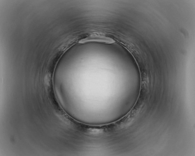 X0000113880649200910081747