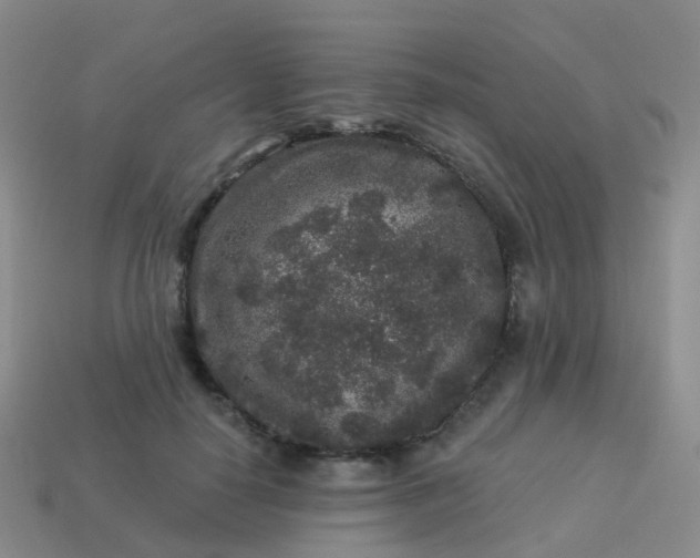 X0000113880650200910081747