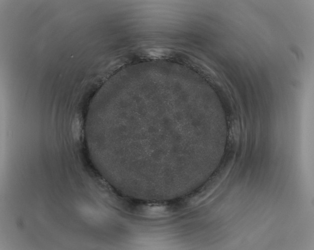 X0000113880651200910081747