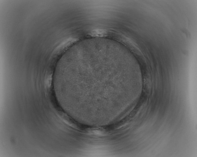 X0000113880652200910081747