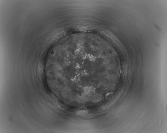 X0000113880653200910081747