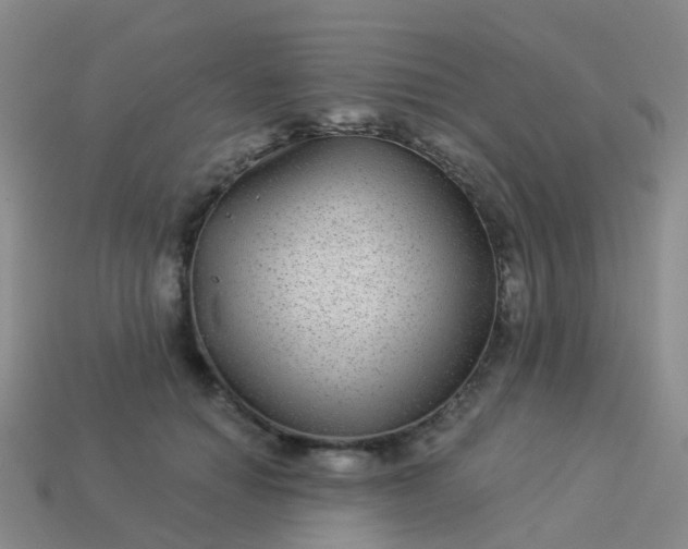 X0000113880654200910081747