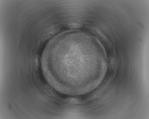 X0000113880655200910081747