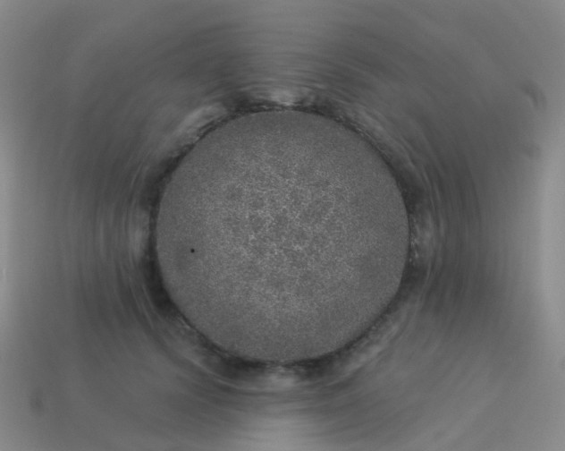 X0000113880656200910081747