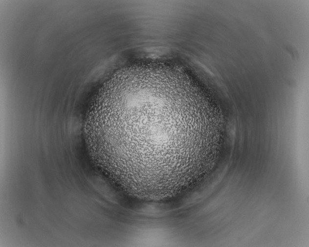 X0000113880657200910081748