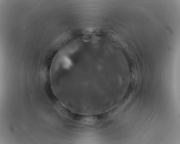 X0000113880659200910081748