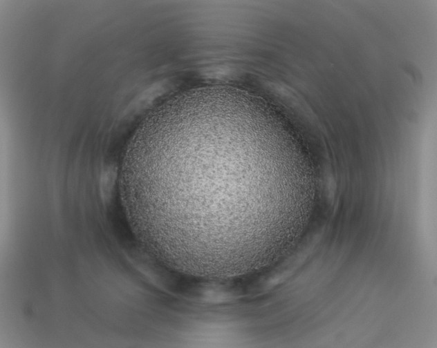 X0000113880660200910081748