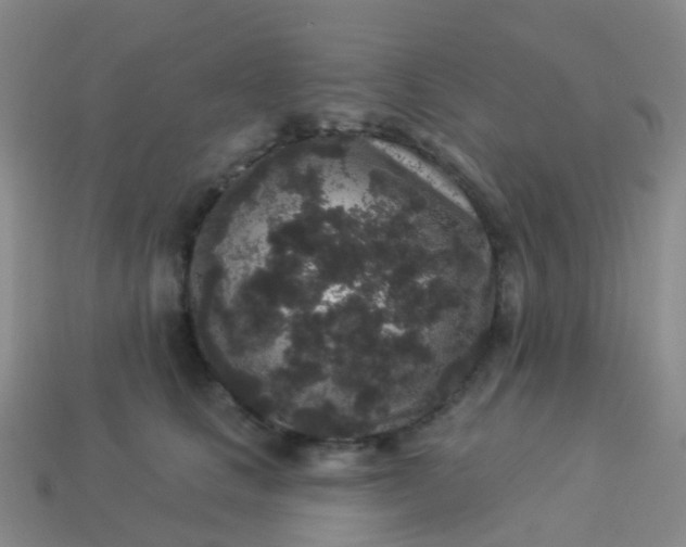 X0000113880661200910081748