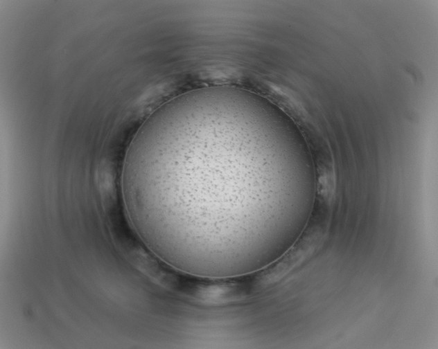 X0000113880662200910081748