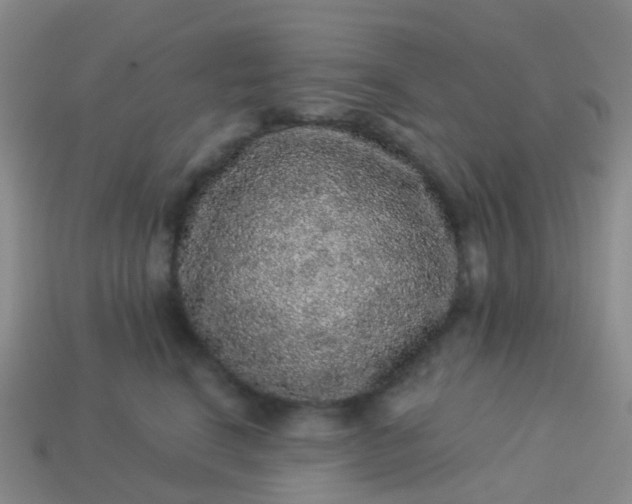 X0000113880664200910081748