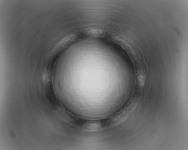 X0000113880665200910081748