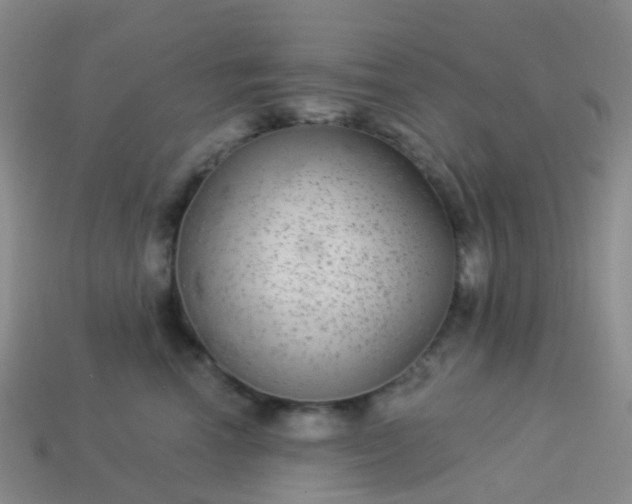 X0000113880666200910081748