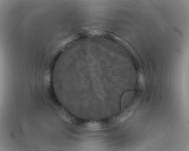 X0000113880668200910081748