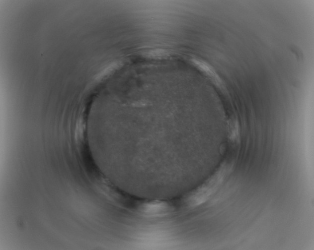 X0000113880669200910081748