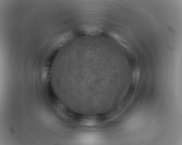 X0000113880671200910081748