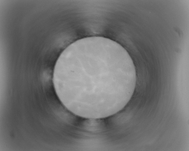 X0000113880672200910081748